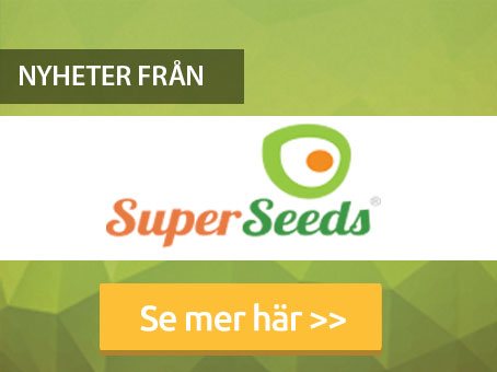 Nyheter från Super Seeds